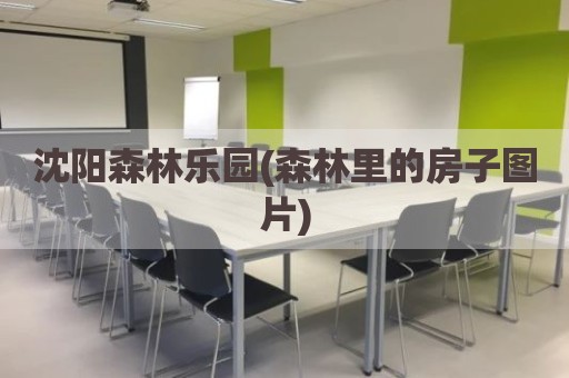 沈阳森林乐园(森林里的房子图片)
