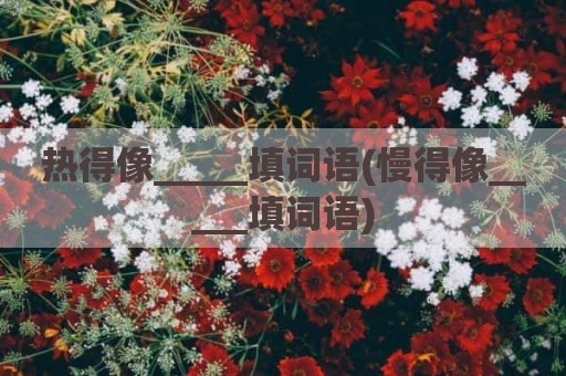 热得像_____填词语(慢得像_____填词语)