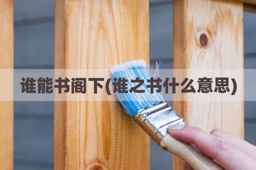 谁能书阁下(谁之书什么意思)