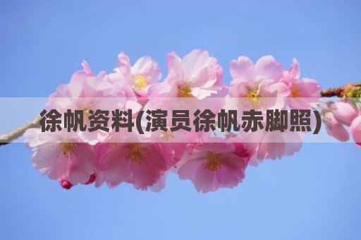 徐帆资料(演员徐帆赤脚照)