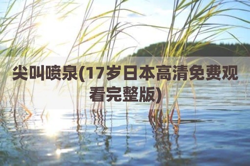 尖叫喷泉(17岁日本高清免费观看完整版)