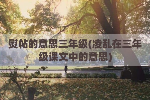 熨帖的意思三年级(凌乱在三年级课文中的意思)