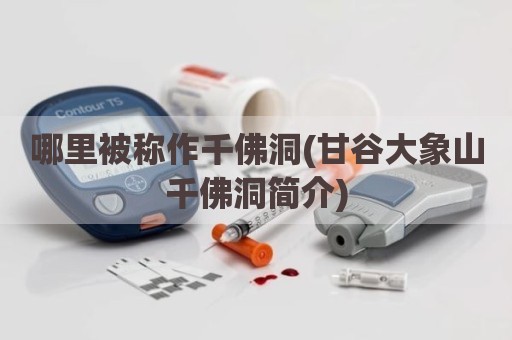 哪里被称作千佛洞(甘谷大象山千佛洞简介)