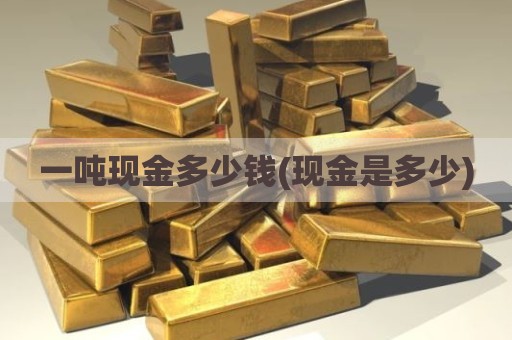 一吨现金多少钱(现金是多少)