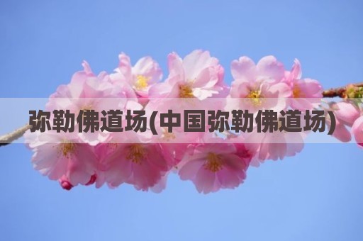 弥勒佛道场(中国弥勒佛道场)