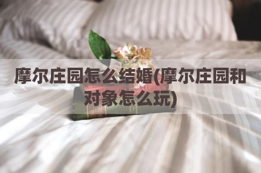 摩尔庄园怎么结婚(摩尔庄园和对象怎么玩)