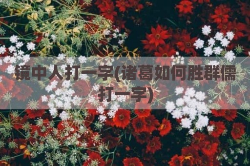 镜中人打一字(诸葛如何胜群儒打一字)