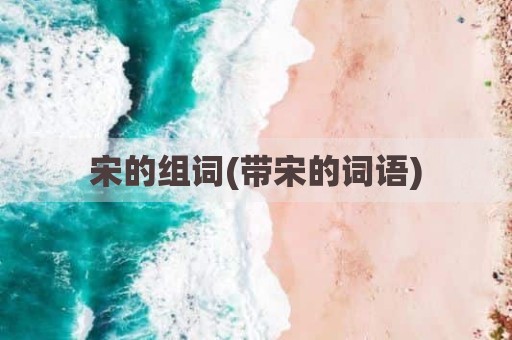 宋的组词(带宋的词语)