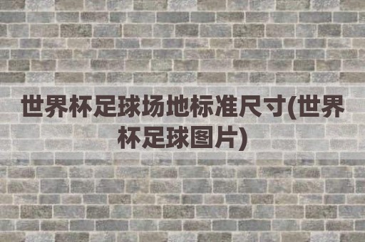 世界杯足球场地标准尺寸(世界杯足球图片)