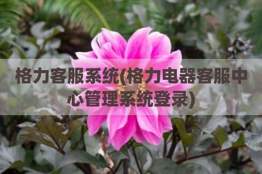 格力客服系统(格力电器客服中心管理系统登录)