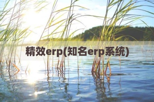 精效erp(知名erp系统)
