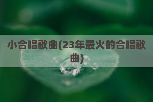 小合唱歌曲(23年最火的合唱歌曲)