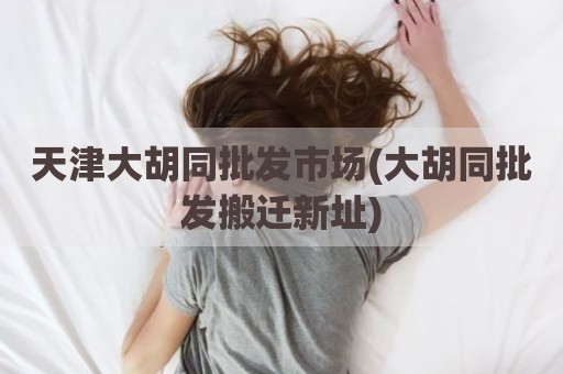 天津大胡同批发市场(大胡同批发搬迁新址)