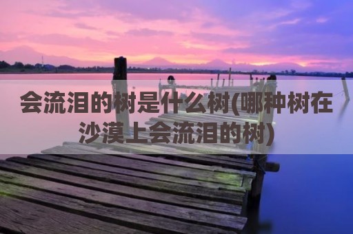 会流泪的树是什么树(哪种树在沙漠上会流泪的树)