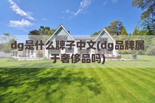 dg是什么牌子中文(dg品牌属于奢侈品吗)