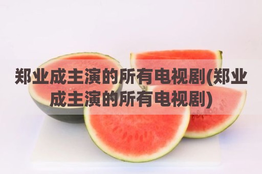 郑业成主演的所有电视剧(郑业成主演的所有电视剧)
