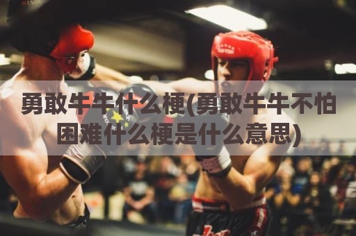 勇敢牛牛什么梗(勇敢牛牛不怕困难什么梗是什么意思)