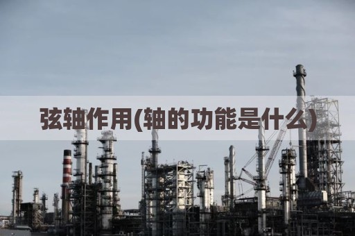 弦轴作用(轴的功能是什么)