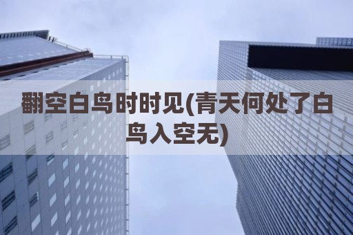 翻空白鸟时时见(青天何处了白鸟入空无)