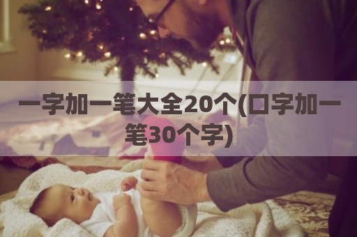 一字加一笔大全20个(口字加一笔30个字)