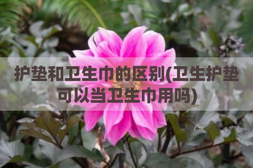 护垫和卫生巾的区别(卫生护垫可以当卫生巾用吗)