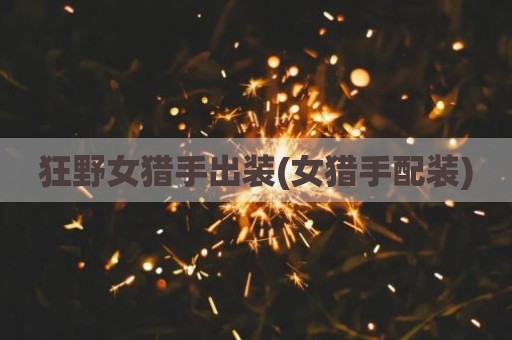 狂野女猎手出装(女猎手配装)