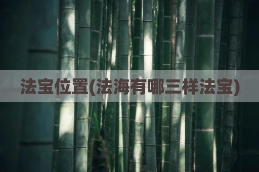 法宝位置(法海有哪三样法宝)