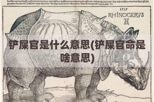 铲屎官是什么意思(铲屎官命是啥意思)
