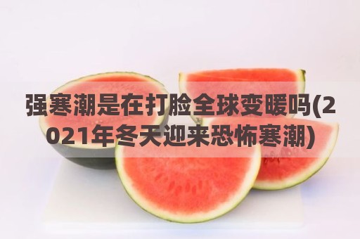 强寒潮是在打脸全球变暖吗(2021年冬天迎来恐怖寒潮)