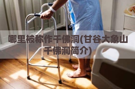 哪里被称作千佛洞(甘谷大象山千佛洞简介)