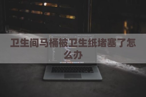 卫生间马桶被卫生纸堵塞了怎么办