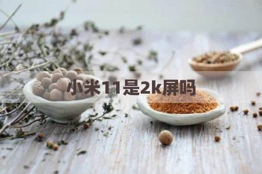 小米11是2k屏吗
