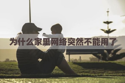 为什么家里网络突然不能用了