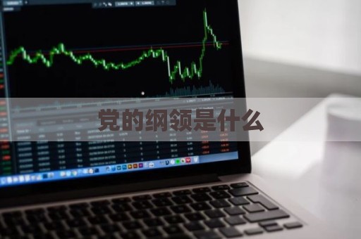 党的纲领是什么