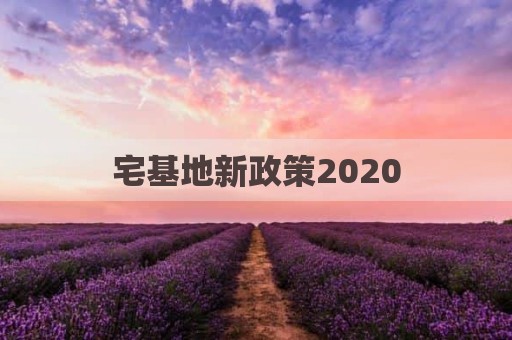 宅基地新政策2020