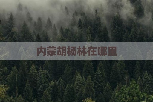 内蒙胡杨林在哪里
