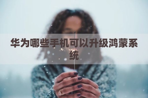 华为哪些手机可以升级鸿蒙系统