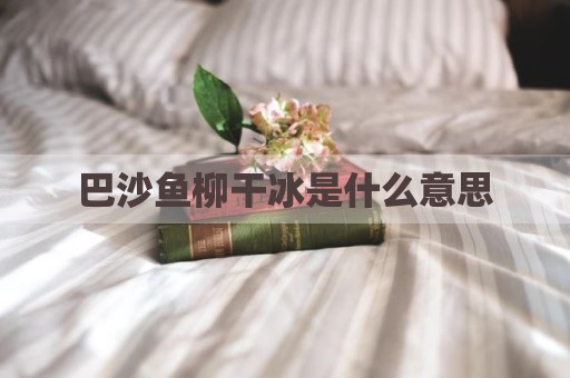 巴沙鱼柳干冰是什么意思