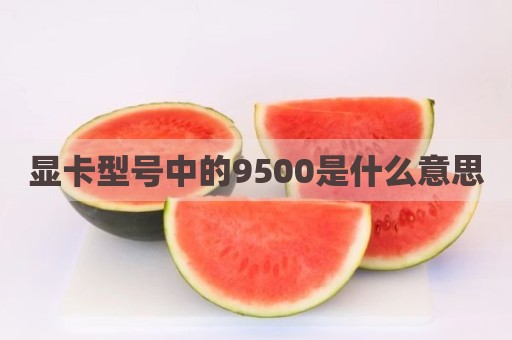 显卡型号中的9500是什么意思