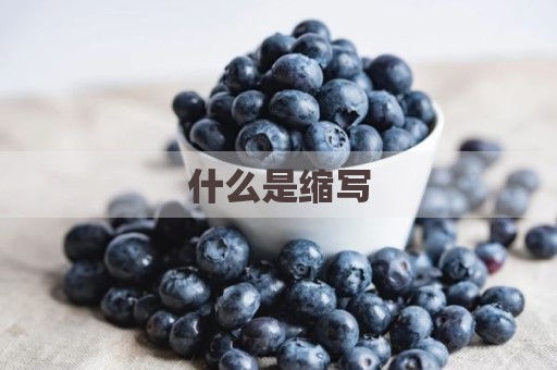 什么是缩写