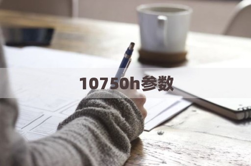 10750h参数
