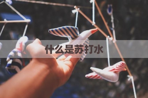 什么是苏打水