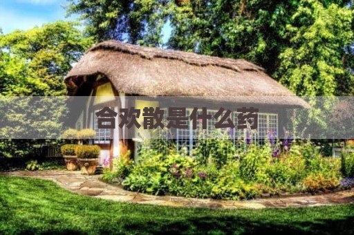合欢散是什么药