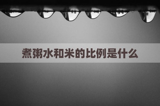 煮粥水和米的比例是什么