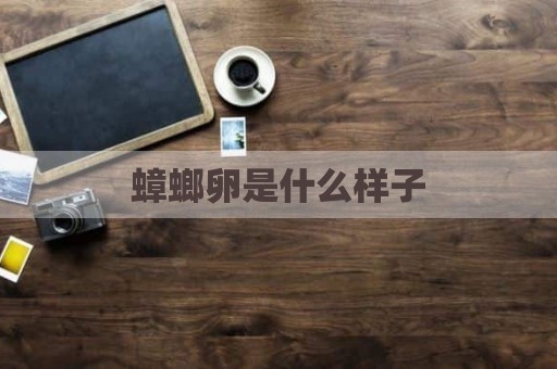 蟑螂卵是什么样子