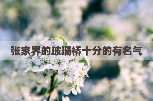 张家界的玻璃桥十分的有名气