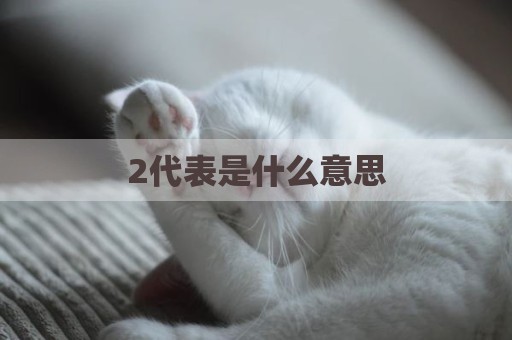 2代表是什么意思