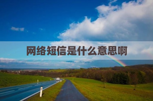 网络短信是什么意思啊