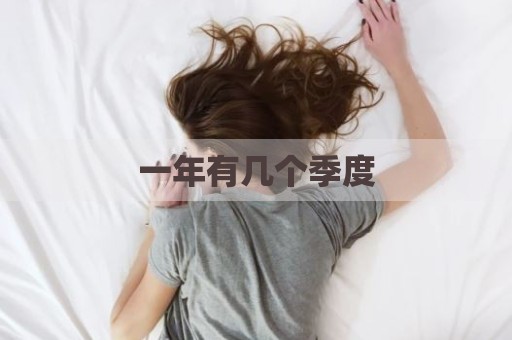 一年有几个季度