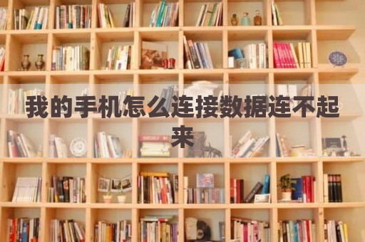 我的手机怎么连接数据连不起来